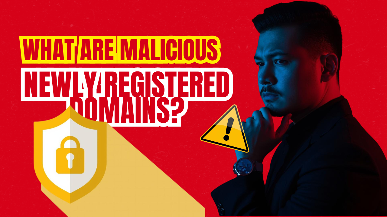 What Are Malicious Newly Registered Domains?